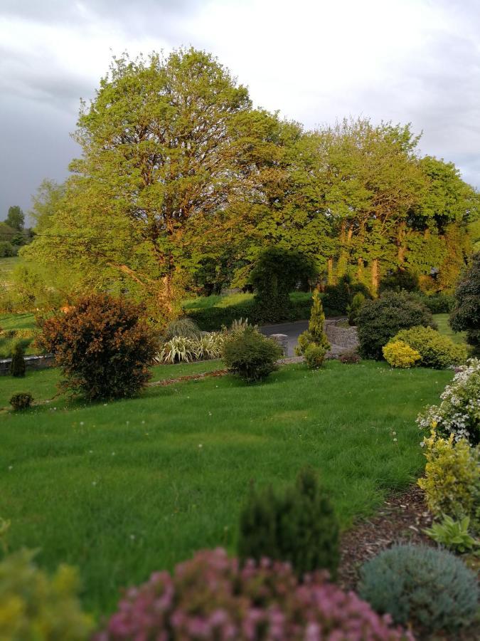 Tower View Lodge Ennis Dış mekan fotoğraf